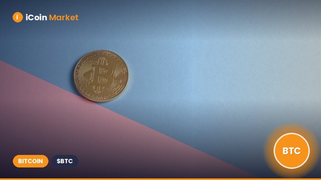 Bitcoin: Could a $26M Whale Move Propel BTC Beyond $107K?