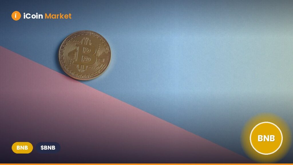BNB Holds Steady at $640 – With Active Users Reaching an All-Time High, Is $674 Within Reach?