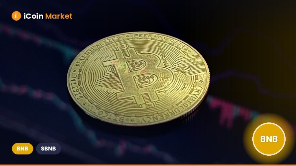 BNB Profits from Recent Upgrades: Will Its Price Keep Rising? BNB Profits from Recent Upgrades: Will Its Price Keep Rising?