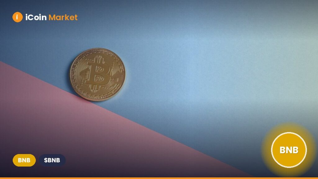 Can BNB Reach New Heights? 2 Factors Indicating Significant Potential