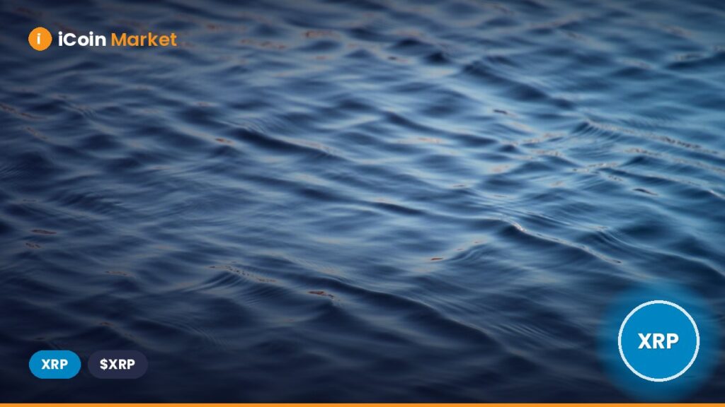 Ripple Showcases XRP Ledger Innovations Driving Institutional Blockchain Adoption
