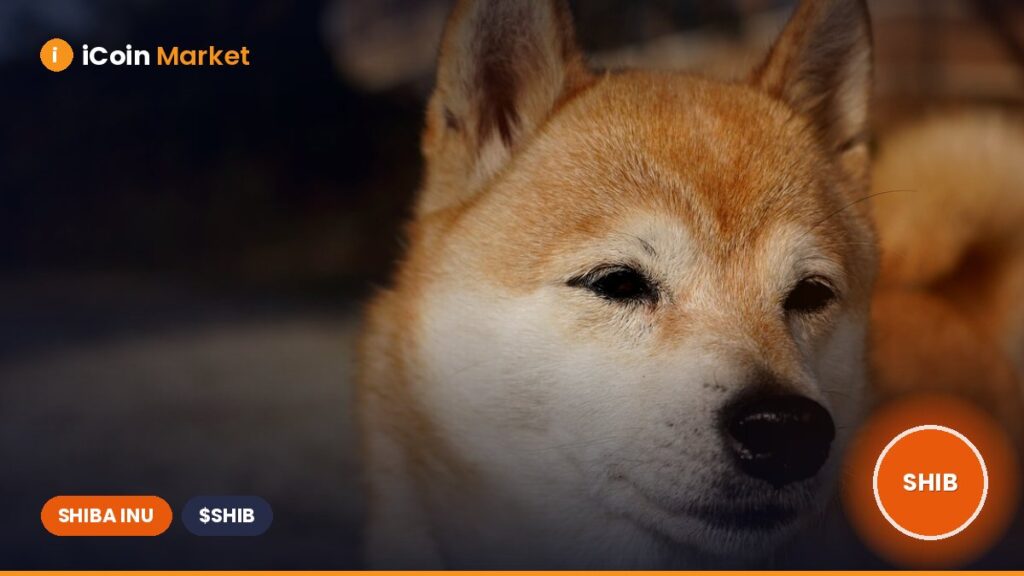Shiba Inu’s Price Decline Stalls – But Before You Consider Buying the Dip, Be Cautious of…