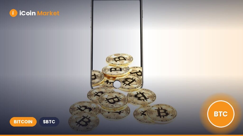 What This ‘New Historical Low’ Means for BTC’s Price Movement