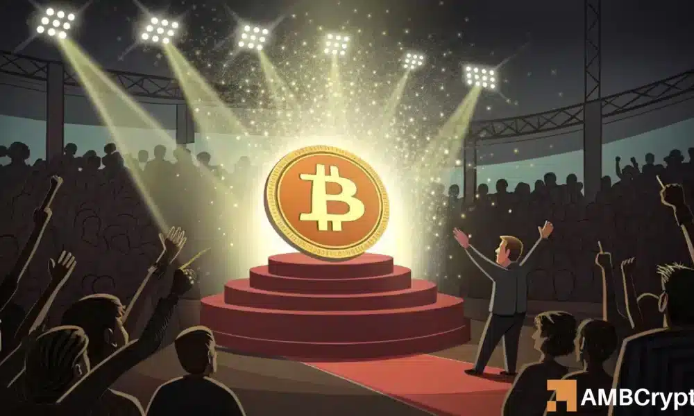 Bitcoin Sees 50% Decrease in Whale Activity: 2 Reasons Why BTC Can Still Thrive