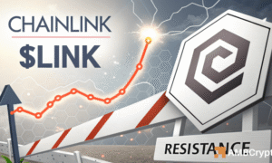 Chainlink: Why Traders Are Betting Big on LINK’s Rally Despite Significant Risks