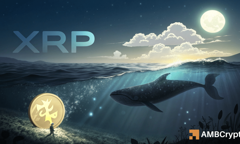 $500M in XRP Transferred! – How Whales Might Propel the Next Rally