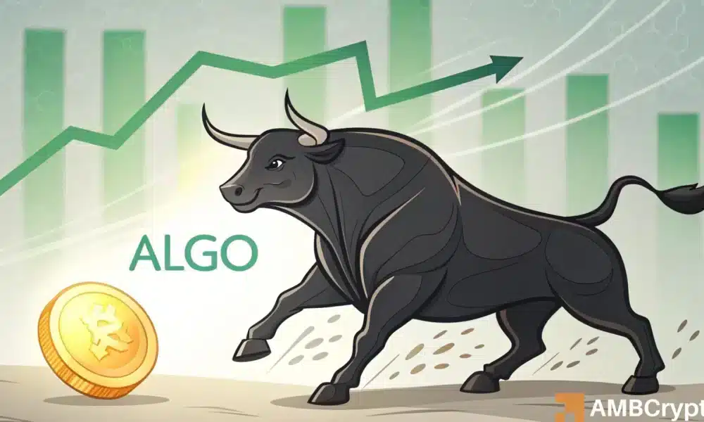 Algorand Surges 33%! But Why Are Traders Betting Against ALGO?