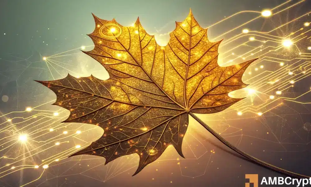 Syrup Drops to $0.50, but Opportunities Await