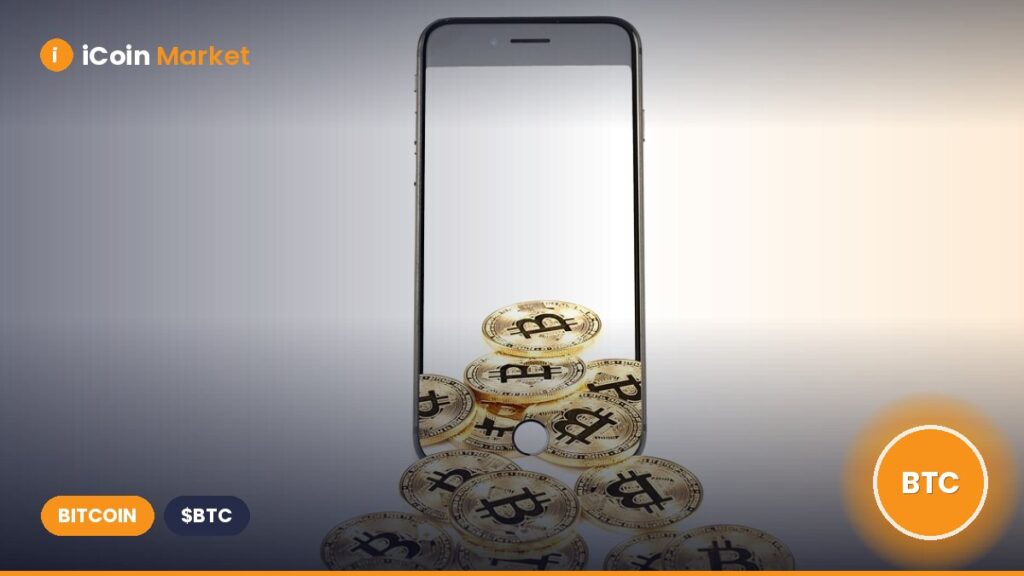 Analysts Highlight the Importance of Macro Tailwinds for Bitcoin During Traditionally Weak Start to Q3