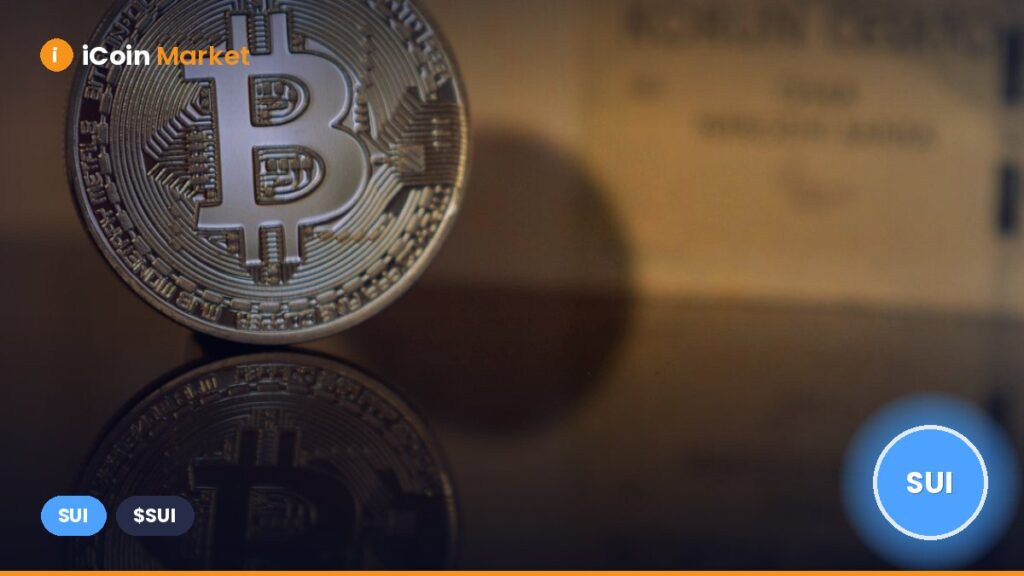Canary’s SUI ETF Application Moves Forward with SEC – Analyst Forecasts All-Time High in August