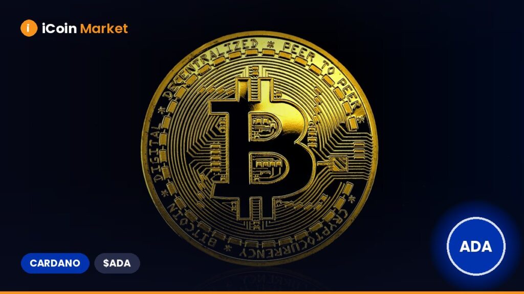 Cardano to Publish ADA Holdings Audit in August, Led by Hoskinson’s Public Announcement