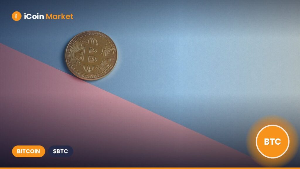 Crypto Market Update: BTC, ETH, XRP, SOL, and ADA Experience an Unexpected Sunday Surge