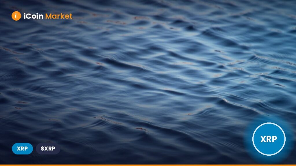 Lawyer Refutes Speculations of SEC Private Meetings Regarding Ripple Appeal