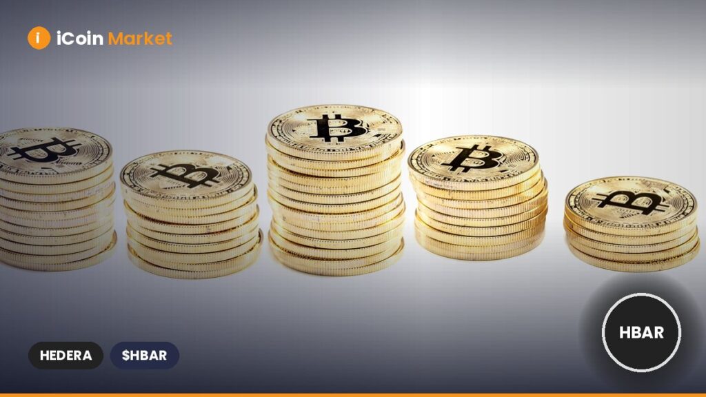 The Role of Hedera Hashgraph in Supporting Bitcoin’s Decentralized Governance The Role of Hedera Hashgraph in Supporting Bitcoinβs Decentralized Governance