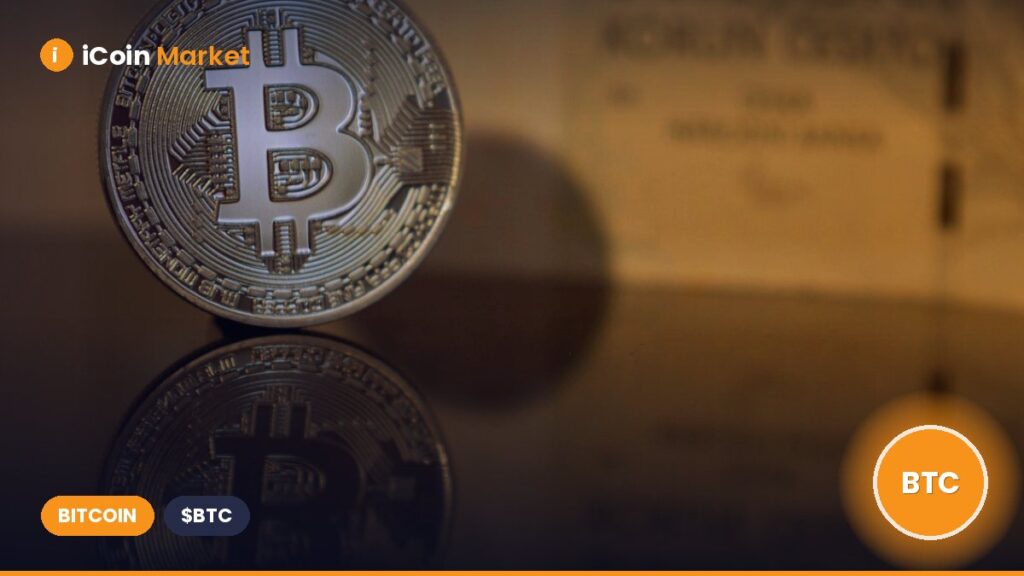 The Smarter Web Company Expands Bitcoin Treasury with Additional $25 Million Purchase, Bringing Total Holdings to Over 773 BTC
