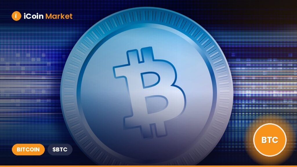Understanding Bitcoin’s Growing Divide: Retail Sells While Whales Purchase $600 Million in BTC Understanding Bitcoin’s Growing Divide: Retail Sells While Whales Purchase $600 Million in BTC