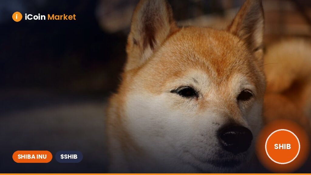 Why Is the Price of Shiba Inu Continuously Declining?