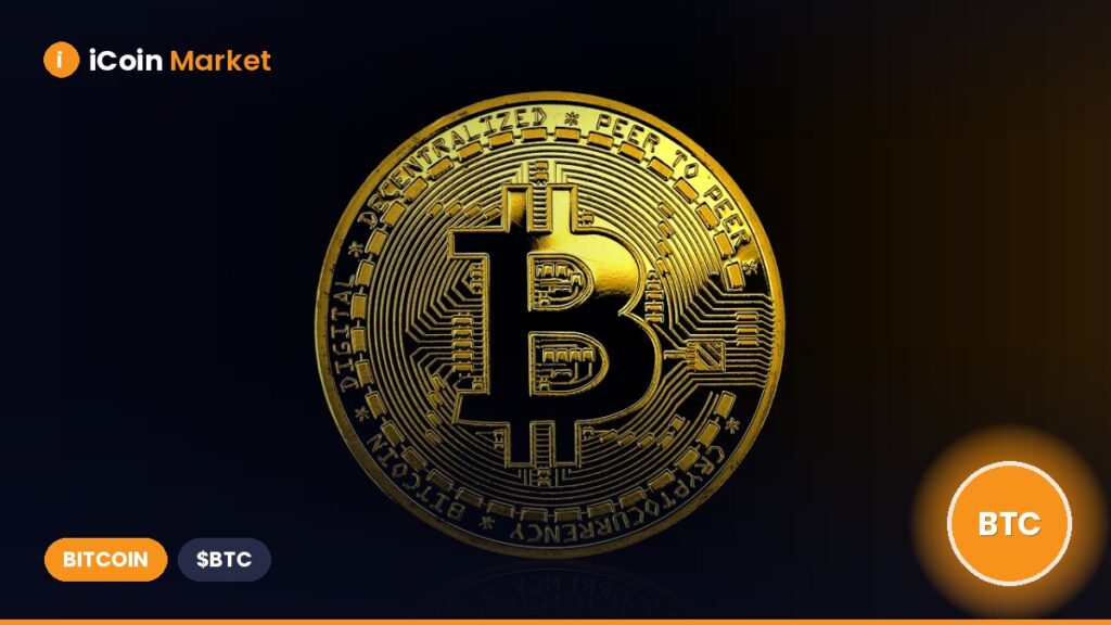 2025 Year-to-Date: Decrease in Bitcoin Transfers and Significantly Lower Fee Share Compared to 2024