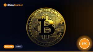 2025 Year-to-Date: Decrease in Bitcoin Transfers and Significantly Lower Fee Share Compared to 2024