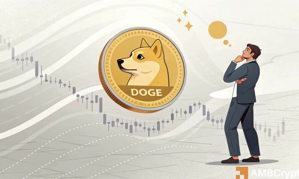 Dogecoin Price Forecast as Whales Accumulate 200 Billion DOGE