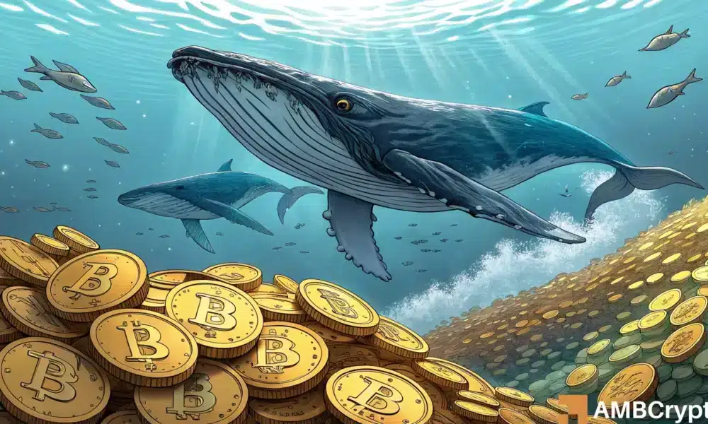 How Bitcoin’s Record Accumulation May Drive a Surge in BTC Prices