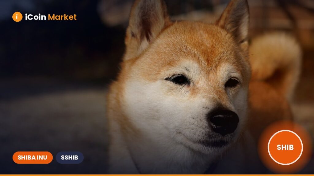 Analyst Forecasts 156% Surge in Shiba Inu Price as DAO Elections Begin and Burn Rate Skyrockets by 3464%