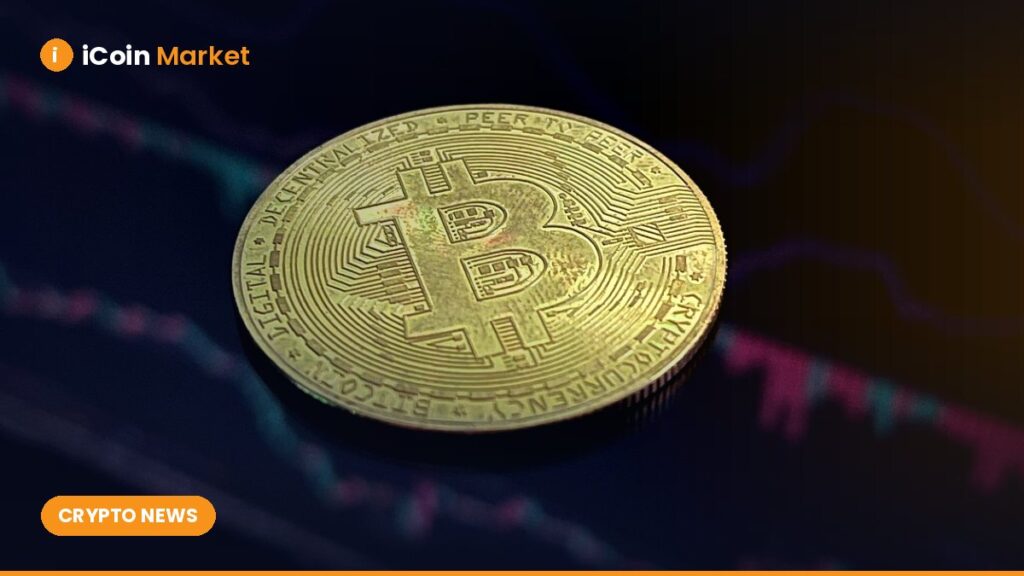 Analyst Predicts $4 Target as Whale Activity Slows and Midnight Airdrop Excitement Rises
