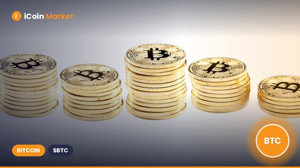 BTC Price Rises as Disappointing U.S. Jobs Data Sparks Rate Cut Optimism