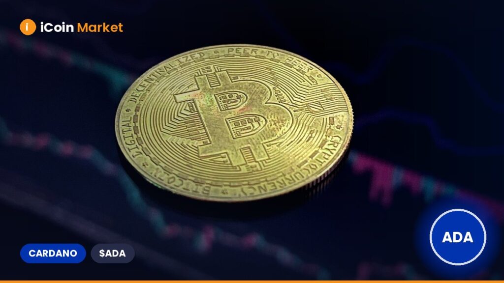 Cardano Ranks Third in Grayscale Rankings Ahead of August ADA ETF Decision