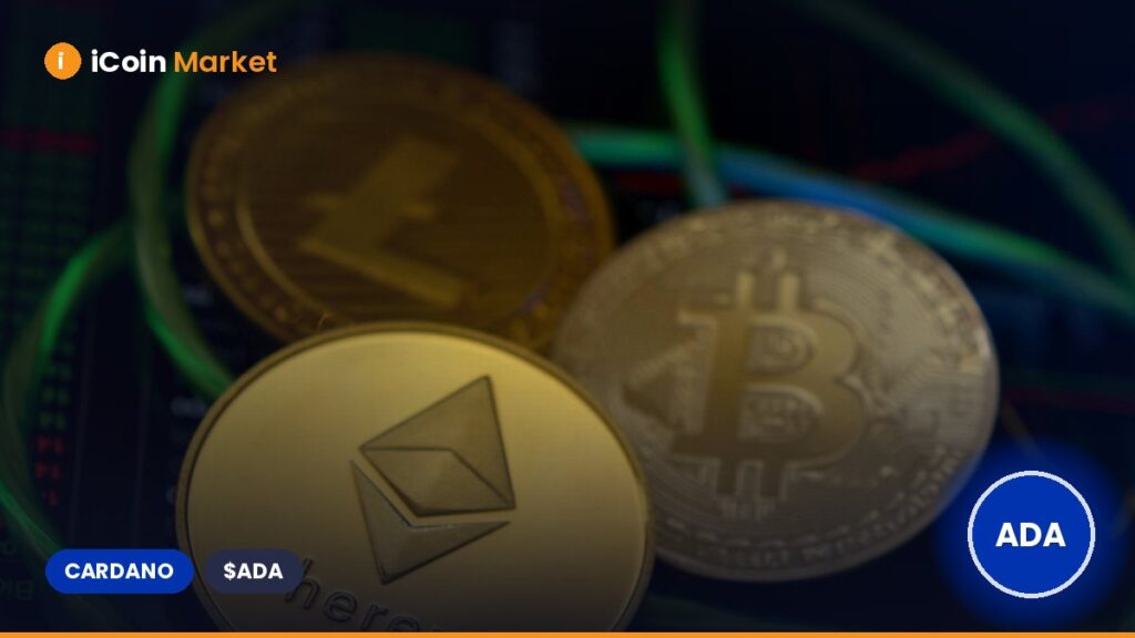 Charles Hoskinson: Cardano Will Not Pay Listing Fees for Midnight or Snek Charles Hoskinson: Cardano Will Not Pay Listing Fees for Midnight or Snek