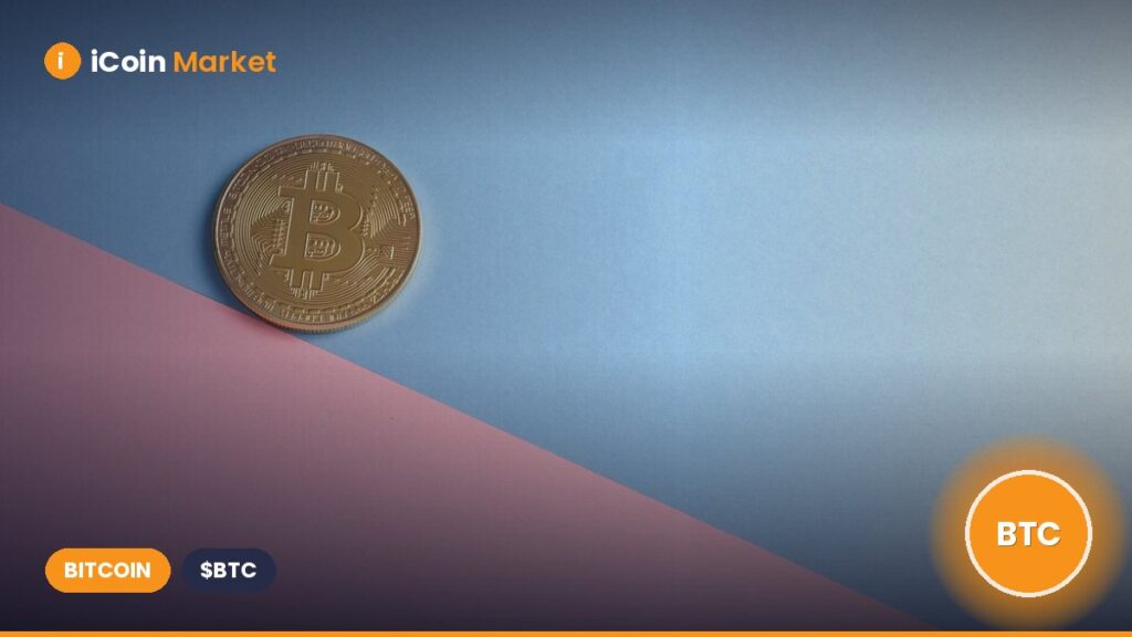 Coinbase Reveals Acquisition of 2,509 BTC in Q2, Rejoins Top 10 Public Bitcoin Treasury Companies, Surpassing Tesla