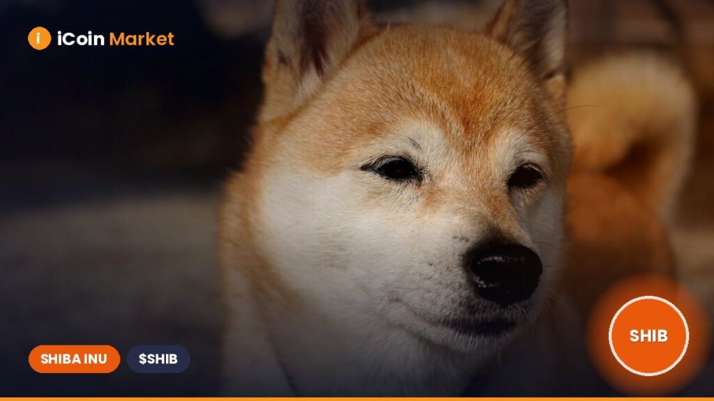 Doggy DAO Introduces Voting Strategies to Enhance the Shiba Inu Ecosystem Doggy DAO Introduces Voting Strategies to Enhance the Shiba Inu Ecosystem