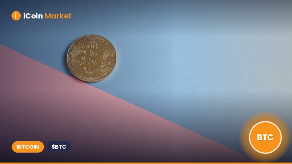 How Bitcoin’s Record Accumulation May Drive a Surge in BTC Prices