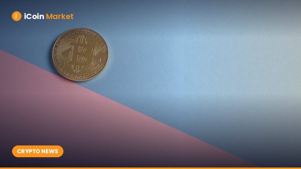 Pantera Capital Discloses Investment of Over $300 Million in Crypto Treasury Firms