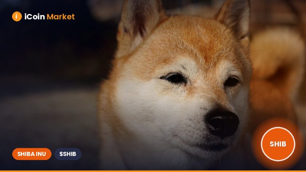 Shiba Inu Burn Rate Soars 5,809% as SHIB Celebrates 5th Anniversary