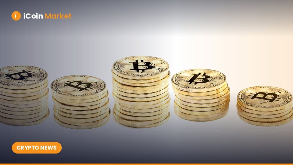 Top 10 Crypto Tokens Wintermute is Shorting Now: Is Your Portfolio Impacted?