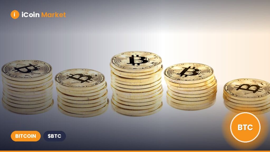 320 Bitcoin Withdrawn by New Wallet: Is a Bullish Turn for BTC on the Horizon?