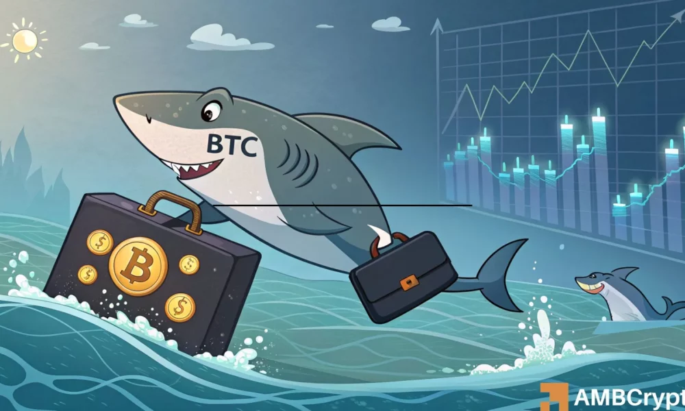 Two Factors Driving Bitcoin’s $111K Recovery: Is It a Bull Trap?