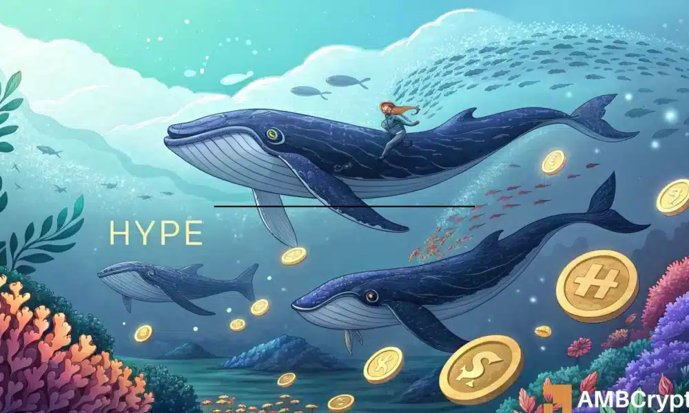 Whale Accumulation Fuels Hyperliquid: Are We Heading for an ATH?