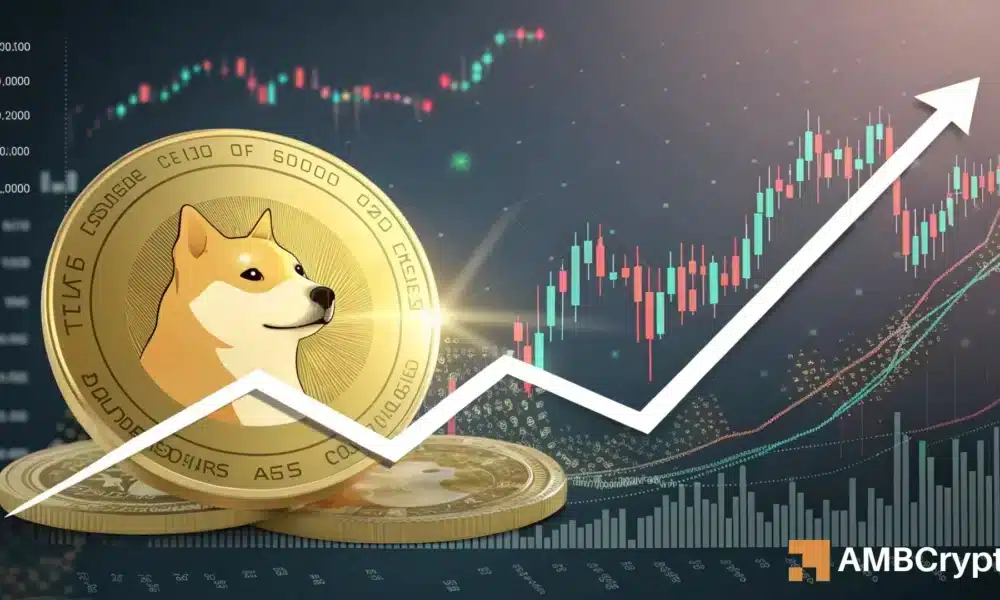Dogecoin Traders: Watch for the $0.20 Support Level – Here’s Why!