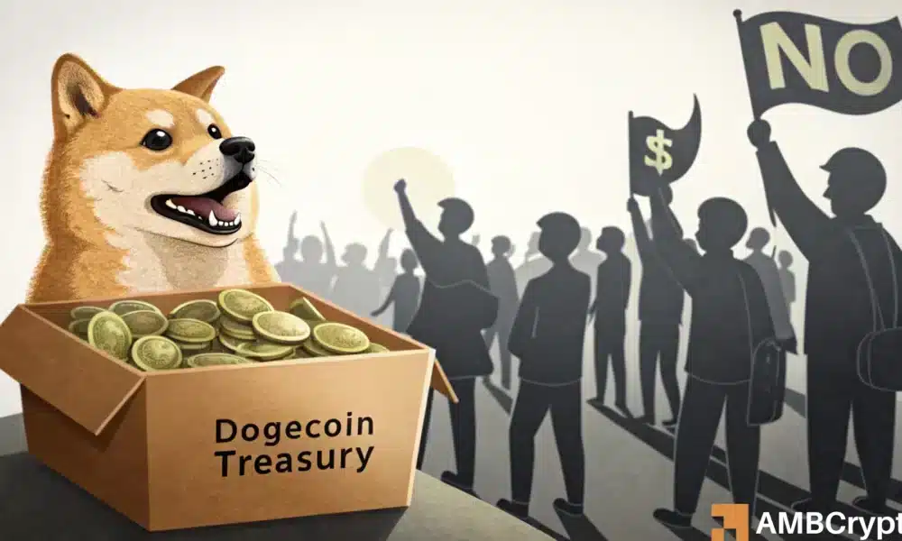 Elon Musk’s Lawyer Involved in $175 Million Dogecoin Treasury, But It’s Not Boosting DOGE