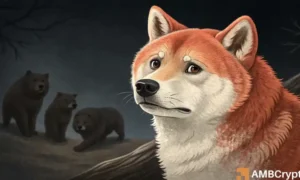 Shiba Inu Price Forecast: Everything You Need to Know About This Risky Buying Opportunity for Traders!