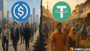 One Dollar, Two Worlds: The Global Divide in Stablecoin Adoption