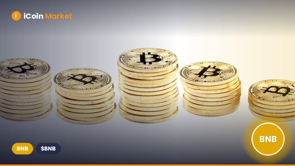 A Genuine Community Effort: BNB Price Reaches a New All-Time High of $1000