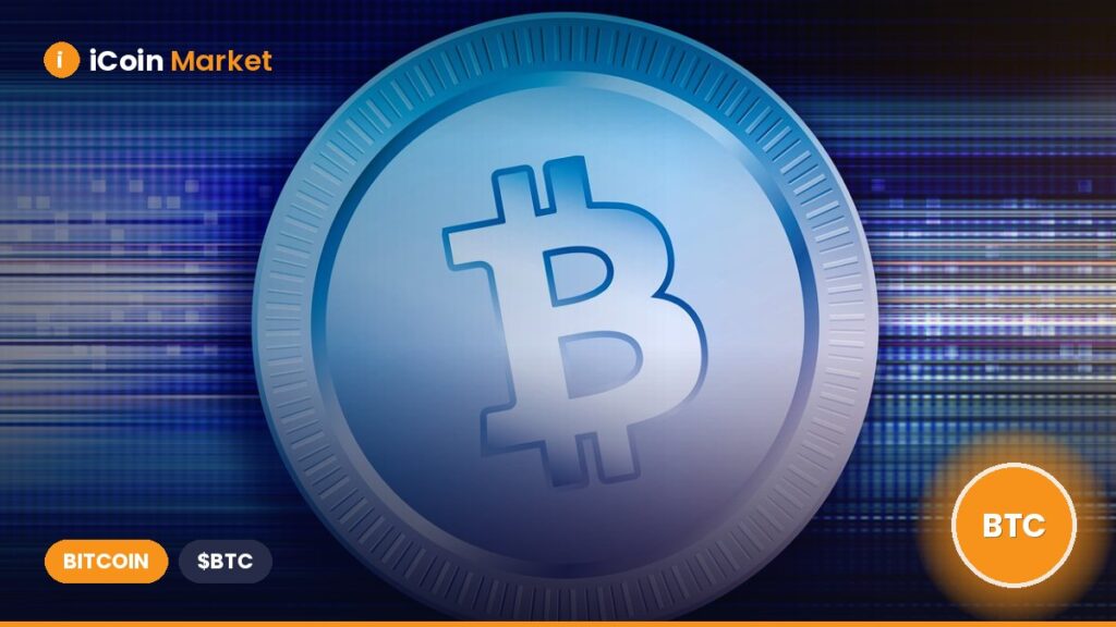 Bitcoin ‘Wholecoiners’ Halt Selling: What’s Happening with BTC? Bitcoin βWholecoinersβ Halt Selling: Whatβs Happening with BTC?
