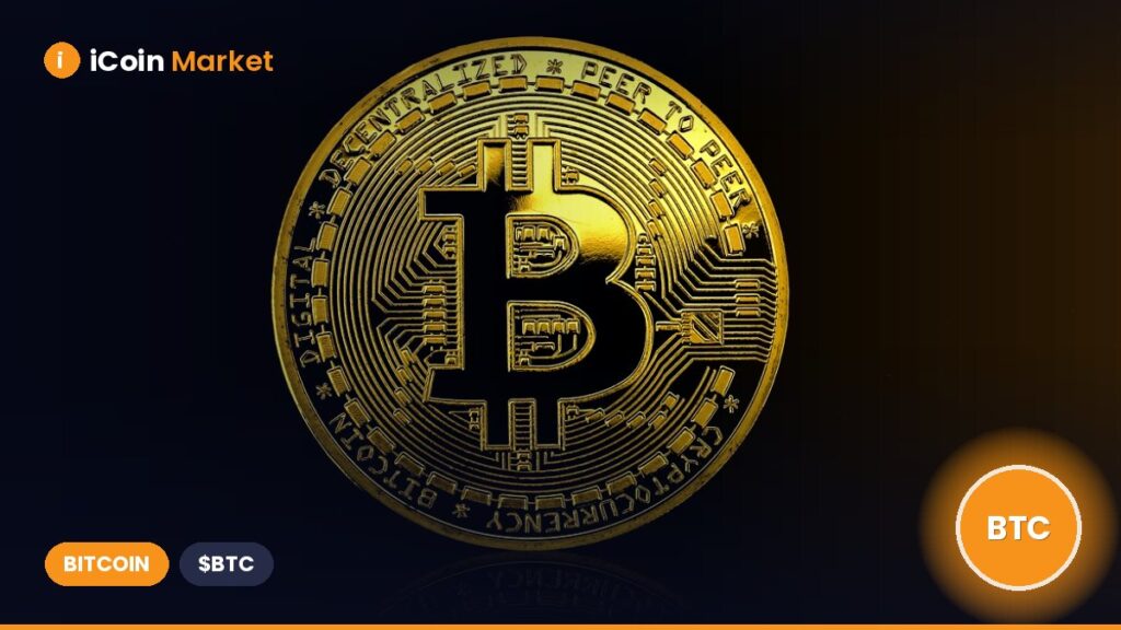 Bitcoin’s Retail Revolution – Here’s Why BTC Whales Are Stepping Back!