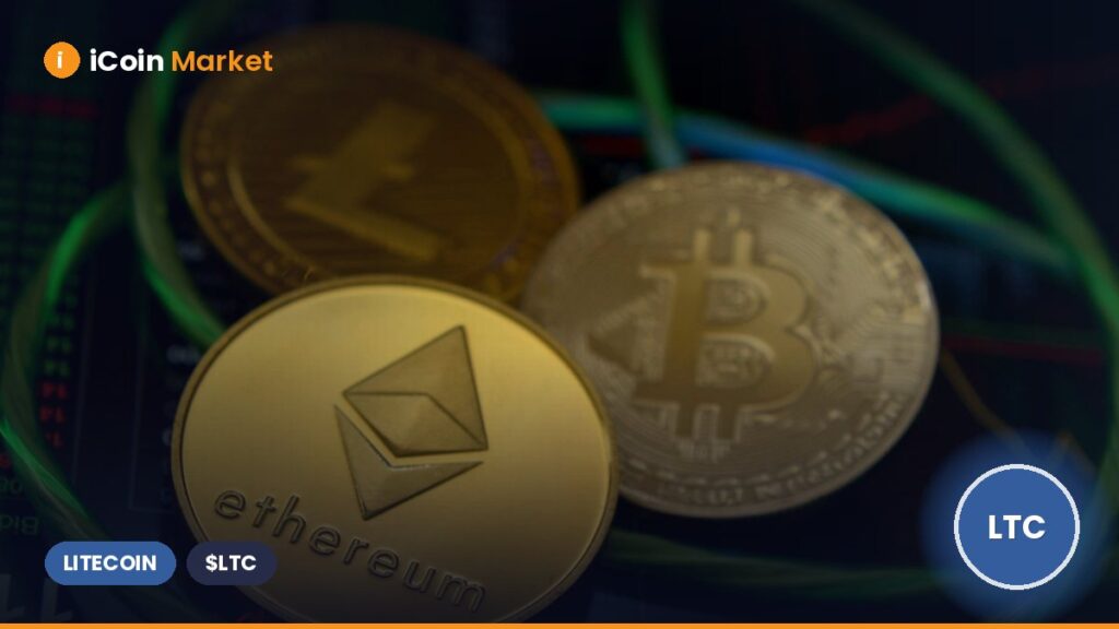 Bonk, Sui, and Litecoin Soar as Tuttle Capital Submits Application for Blast Income ETFs