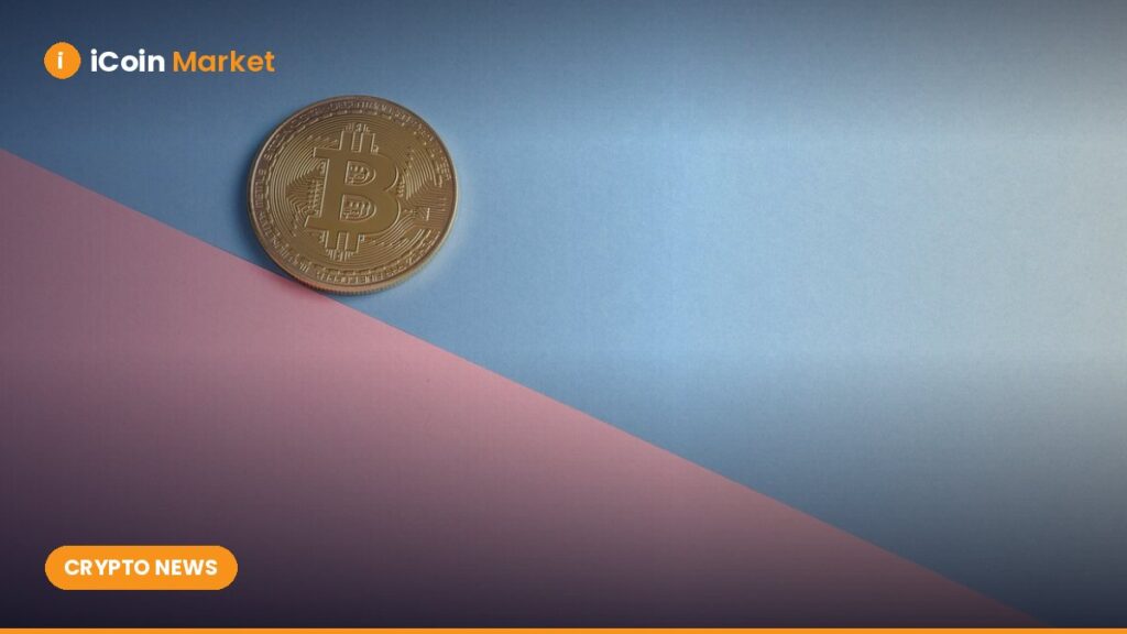 Everything You Need to Know About CoinShares’ $1.2 Billion Plan to Go Public in the U.S.