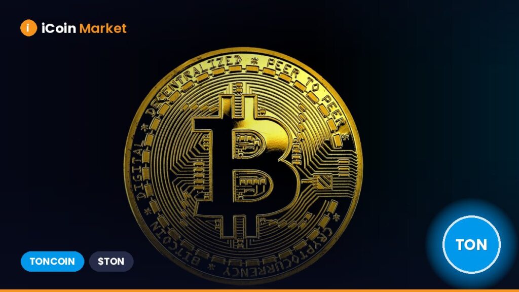 Nasdaq-Listed Former Biotech Company Acquires $30 Million in Toncoin