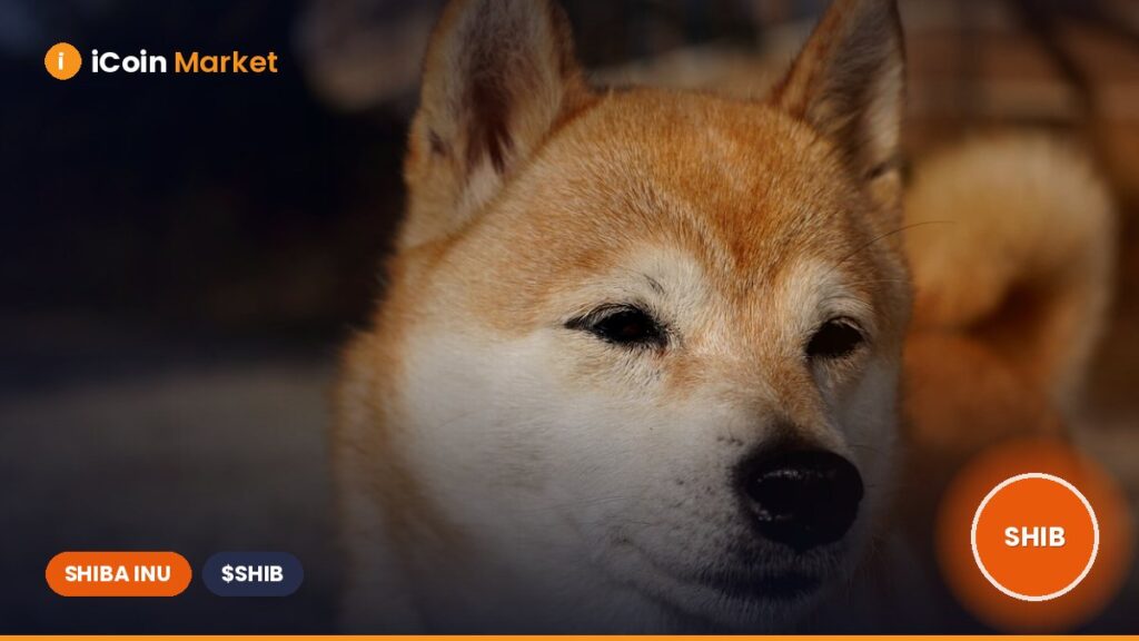 SHIB Price Prediction Following LEASH V2 Migration — Will We See a 200% Surge? SHIB Price Prediction Following LEASH V2 Migration — Will We See a 200% Surge?